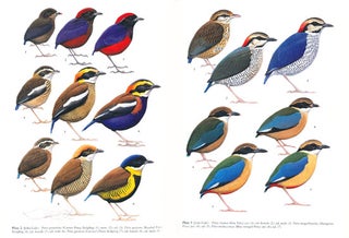 The birds of the Thai-Malay Peninsula: covering Burma and Thailand south of the eleventh parallel, Peninsular Malaysia and Singapore. Non-passerines and passerines (two volume set).