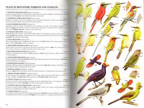 Birds Of The Gambia Book