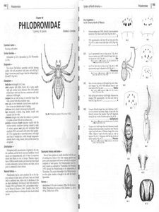 Spiders of North America: an identification manual.