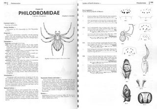 Spiders of North America: an identification manual.