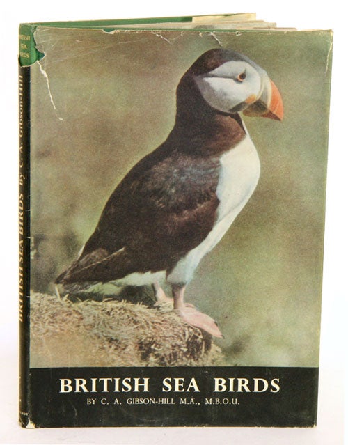 Stock ID 24365 British sea birds. C. A. Gibson-Hill.