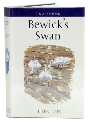 Stock ID 24371 Bewick's Swan. Eileen Rees
