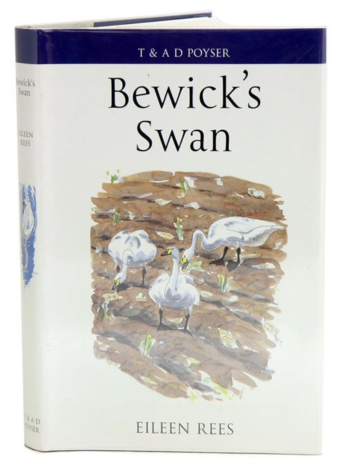 Stock ID 24371 Bewick's Swan. Eileen Rees.