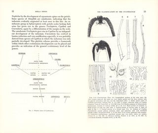 Contributions from the gray herbarium of Harvard university: nymber 200.
