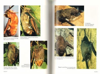 Mammals of the eastern United States.