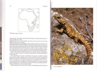 Lizards [two volumes].