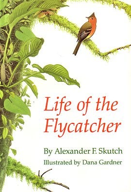 Stock ID 24476 Life of the Flycatcher. Alexander F. Skutch