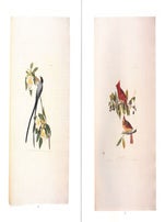 The Library of H. Bradley Martin [ornithology, first sale].