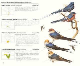 A handbook to the swallows and martins of the world.