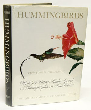 Stock ID 24536 Hummingbirds. Crawford H. Greenewalt