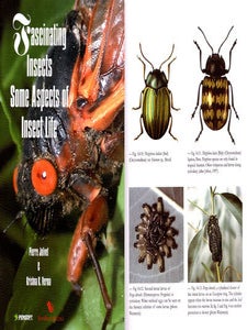 Fascinating insects: some aspects of insect life.
