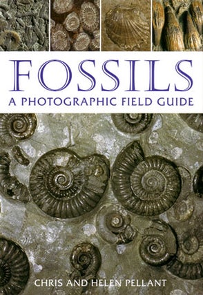 Stock ID 24588 Fossils: a photographic field guide. Chris Pellant, Helen Pellant
