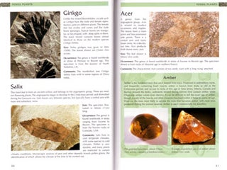 Fossils: a photographic field guide.