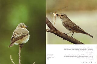 Birds of Kuwait: a portrait.