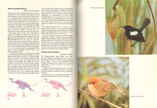 Birds of New Guinea and tropical Australia: the birds of Papua New Guinea, Irian Jaya, the Solomon Islands and tropical north Australia.