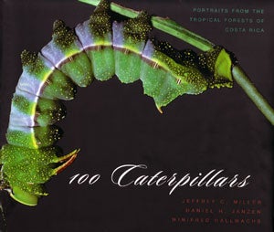 Stock ID 24732 100 caterpillars: portraits from the tropical forests of Costa Rica. Jeffrey C....