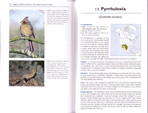 Tanagers, Cardinals, and Finches of the United States and Canada: the photographic guide.