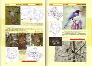 Atlas: Birds of Moscow city and the Moscow region.