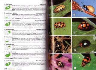 Field guide to insects of South Africa.
