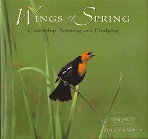 Stock ID 24912 Wings of spring: courtship, nesting and fledging. Chuck Hagner.