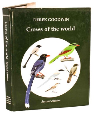 Stock ID 2502 Crows of the world. Derek Goodwin
