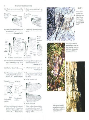 Dragonfly genera of the new world: an illustrated and annotated key to the Anisoptera.