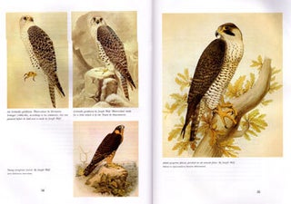 The Loo falconry: The Royal Loo Hawking Club, 1839-1855.