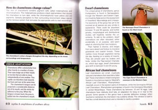 Curious creatures: reptiles and amphibians of Southern Africa.