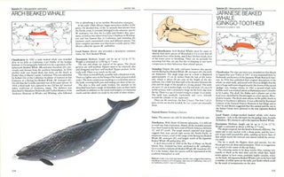 Sea guide to whales of the world.