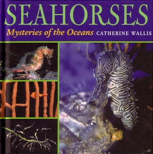 Stock ID 25303 Seahorses: mysteries of the oceans. Catherine Wallis