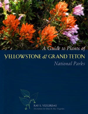 Stock ID 25536 A guide to plants of Yellowstone and Grand Teton National Parks. Ray S. Vizgirdas.