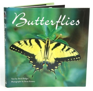 Butterflies. David Badger.