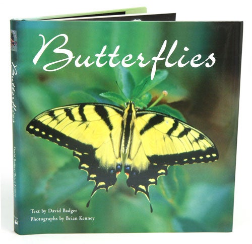 Stock ID 25639 Butterflies. David Badger.