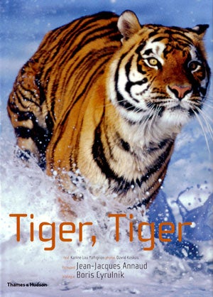 Stock ID 25645 Tiger, Tiger. Karine Lou Matignon