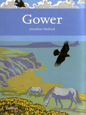 Stock ID 25652 Gower. Jonathan Mullard
