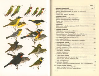 The birds of New Providence and the Bahama Islands.