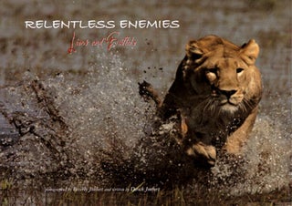 Relentless enemies: lions and buffalo. Dereck Joubert.
