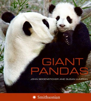 Stock ID 26189 Giant pandas. John Seidensticker, Susan Lumpkin