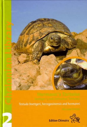Stock ID 26247 Hermann's Tortoise: Boettger's and Dalmatian Tortoises (Testudo boettgeri,...