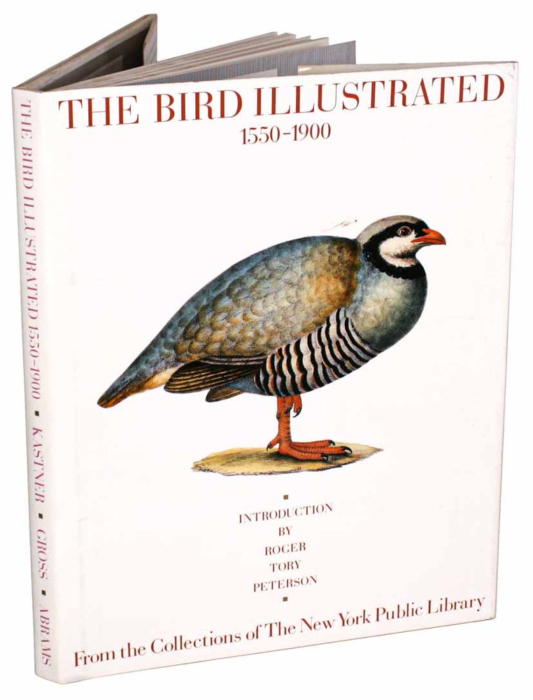 Stock ID 2629 The bird illustrated 1550-1900. Joseph Kastner.
