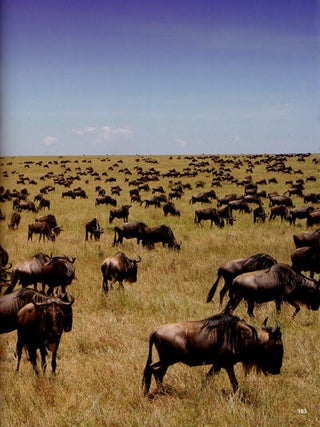 The essential Africa.