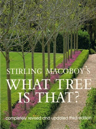 Stock ID 26482 What tree is that? Stirling Macoboy