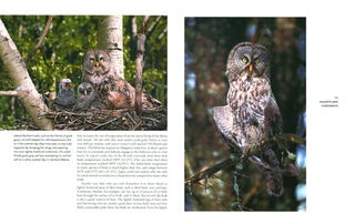Owls of the United States and Canada: a complete guide to their biology and behavior.