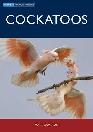 Cockatoos. Matt Cameron.