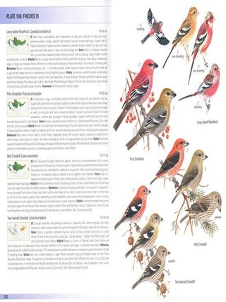 Birds of Mongolia.