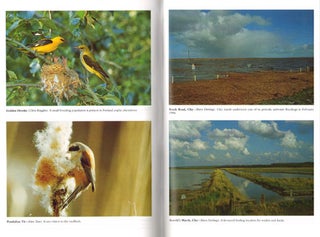 The birds of Norfolk.
