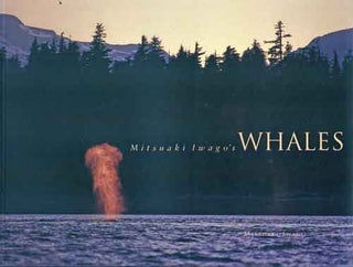 Stock ID 2653 Mitsuaki Iwago's whales. Mitsuaki Iwago