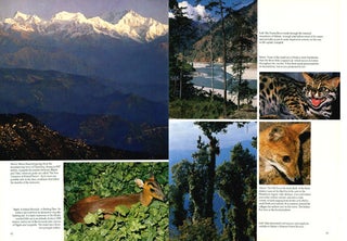 Wild India: the wildlife and scenery of India and Nepal.