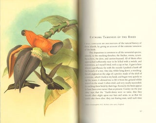 The bedside book of birds: an avian miscellany.