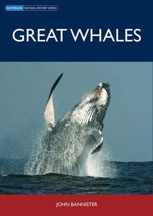 Great whales. John Bannister.